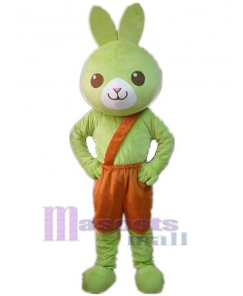 Rabbit mascot costume