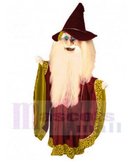 Merlin Wizard mascot costume