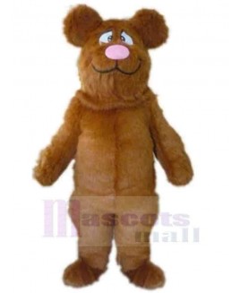 Bear mascot costume