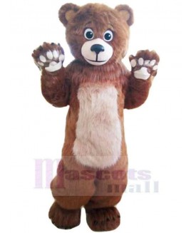 Bear mascot costume