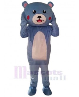 Bear mascot costume