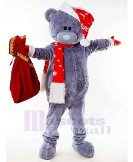 Bear mascot costume