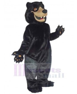 Bear mascot costume