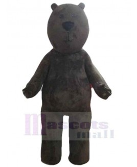 Bear mascot costume