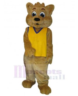 Bear mascot costume