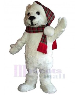 Bear mascot costume