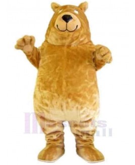 Bear mascot costume