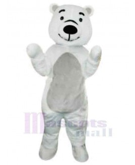 Bear mascot costume