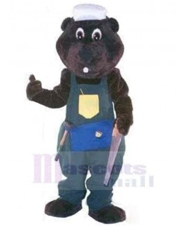 Bear mascot costume