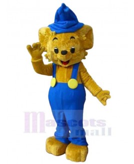 Bear mascot costume