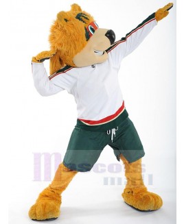 Bear mascot costume