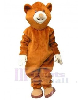 Bear mascot costume