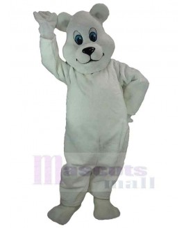 Bear mascot costume