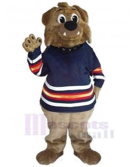 Bear mascot costume