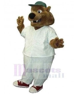 Bear mascot costume