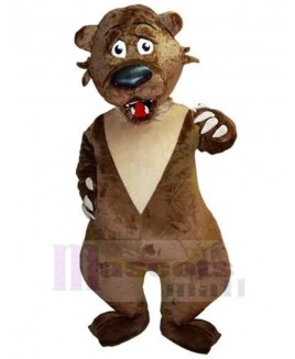 Bear mascot costume