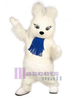 Easter Bunny Rabbit mascot costume