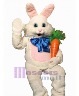 Easter Bunny Rabbit mascot costume