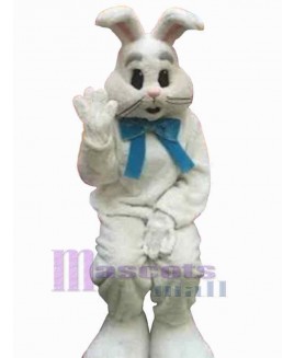 Easter Bunny Rabbit mascot costume