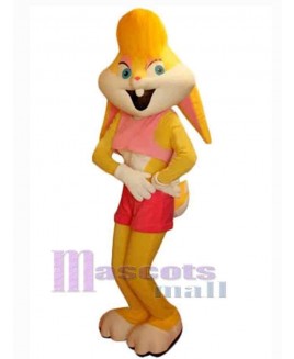 Easter Bunny Rabbit mascot costume