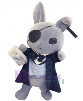 Easter Bunny Rabbit mascot costume