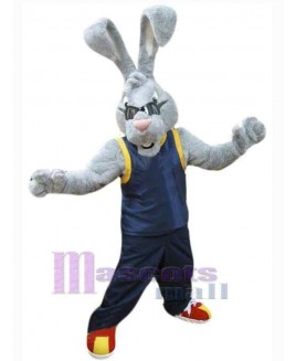 Easter Bunny Rabbit mascot costume