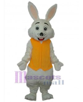 Easter Bunny Rabbit mascot costume