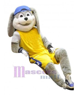 Easter Bunny Rabbit mascot costume