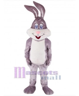 Easter Bunny Rabbit mascot costume