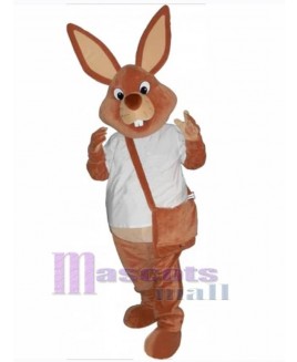 Easter Bunny Rabbit mascot costume