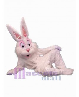 Easter Bunny Rabbit mascot costume