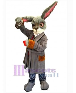 Easter Bunny Rabbit mascot costume