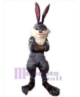 Easter Bunny Rabbit mascot costume