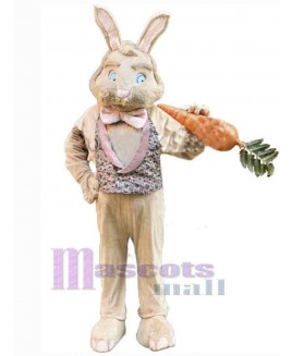 Easter Bunny Rabbit mascot costume