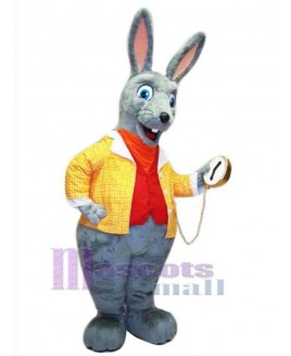 Easter Bunny Rabbit mascot costume