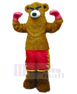 Bear mascot costume