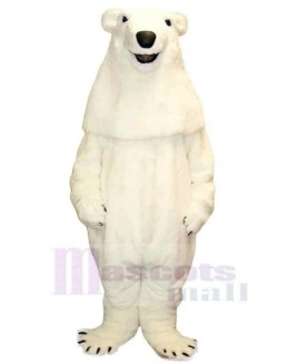 Bear mascot costume