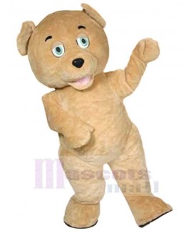 Bear mascot costume