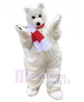 Bear mascot costume