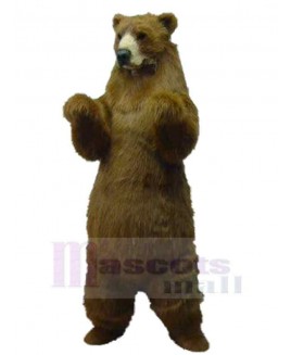 Bear mascot costume