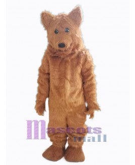 Bear mascot costume