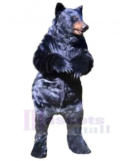 Bear mascot costume