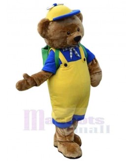 Bear mascot costume