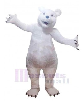 Bear mascot costume