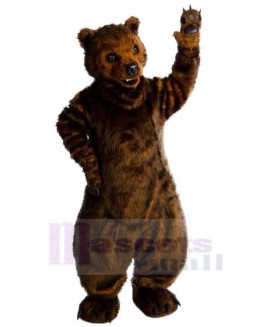 Bear mascot costume