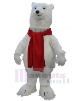 Bear mascot costume