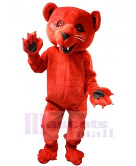 Bear mascot costume