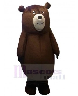 Bear mascot costume