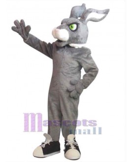 Easter Bunny Rabbit mascot costume