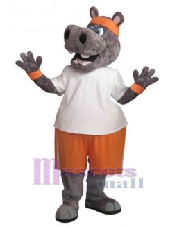 Hippo mascot costume